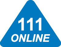 111 online